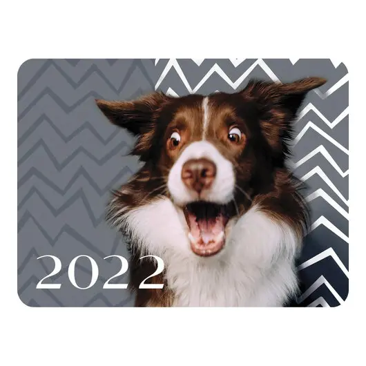 Календарь карманный на 2022 год, 70х100 мм, &quot;Прикольные животные&quot;, HATBER, Кк7, фото 2