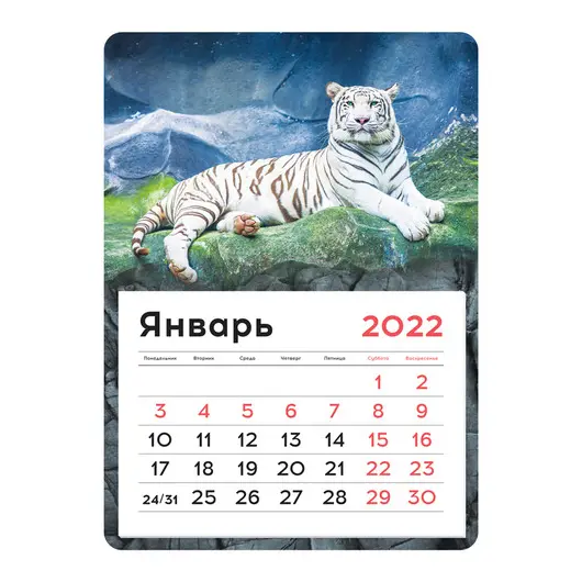Календарь отрывной на магните 130*180мм склейка OfficeSpace &quot;Mono - White tiger&quot;, 2022г, фото 1