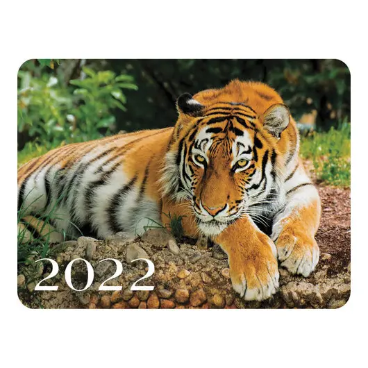 Календарь карманный на 2022 год, 70х100 мм, &quot;Год тигра&quot;, HATBER, Кк7, фото 9