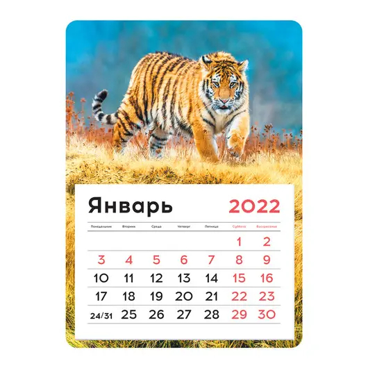 Календарь отрывной на магните 130*180мм склейка OfficeSpace &quot;Mono - Тигр&quot;, 2022г., фото 1