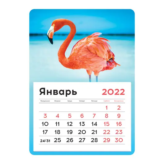 Календарь отрывной на магните 130*180мм склейка OfficeSpace &quot;Mono - Flamingos&quot;, 2022г, фото 1