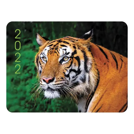 Календарь карманный на 2022 год, 70х100 мм, &quot;Год тигра&quot;, HATBER, Кк7, фото 4