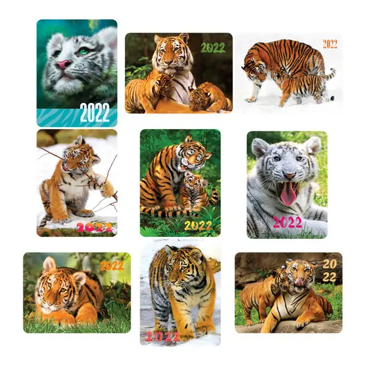 Календарь карманный Hatber &quot;Год тигра-тигрята&quot;, глянцевая ламинация, 2022г, фото 1