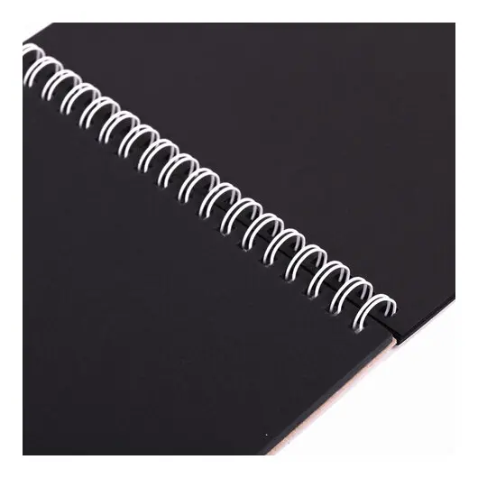 Скетчбук, черная бумага 120 г/м2, 170х195, 30л, гребень, цветная фольга, твин лак, Тигр, 97699, фото 3