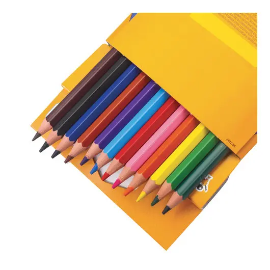 Карандаши цветные BIC &quot;Kids ECOlutions Evolution&quot;, 12 цветов, пластиковые, заточенные, европодвес, 82902910, фото 4
