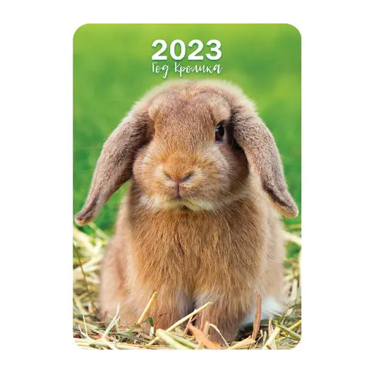 Календарь карманный на 2023 г., 70х100 мм, &quot;Год Кролика&quot;, HATBER, Кк757443, фото 8