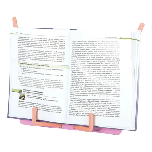 Подставка для книг и учебников BRAUBERG KIDS &quot;Flamingo&quot;,регулируемый угол наклона, прочный ABS-пластик, 238061, фото 3