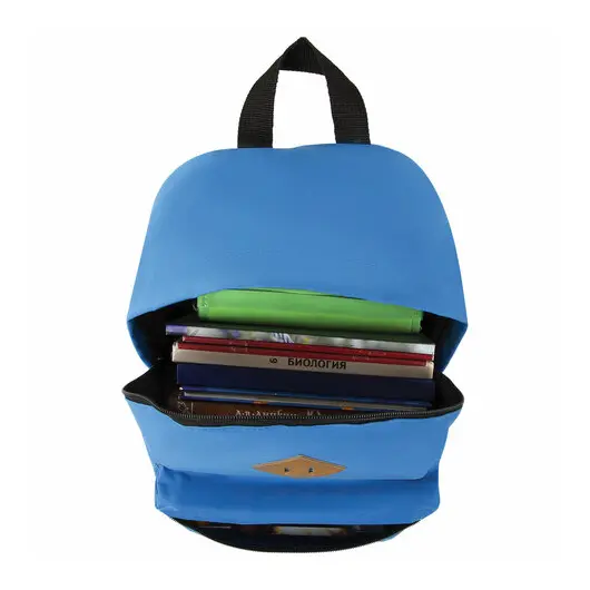 Рюкзак BRAUBERG, универсальный, сити-формат, один тон, голубой, 20 литров, 41х32х14 см, 225374, фото 15