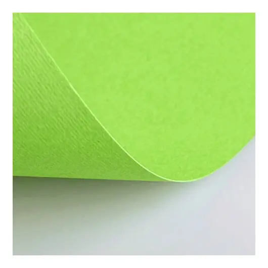 Бумага (картон) для творчества (1 лист) Fabriano Elle Erre А2+ 500х700 мм, 220 г/м2, светло-зеленый, 42450710, фото 1