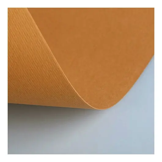 Бумага (картон) для творчества (1 лист) Fabriano Elle Erre А2+ 500х700 мм, 220 г/м2, светло-коричневый, 42450703, фото 1