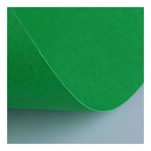 Бумага (картон) для творчества (1 лист) Fabriano Elle Erre А2+ 500х700 мм, 220 г/м2, зеленый, 42450711, фото 1