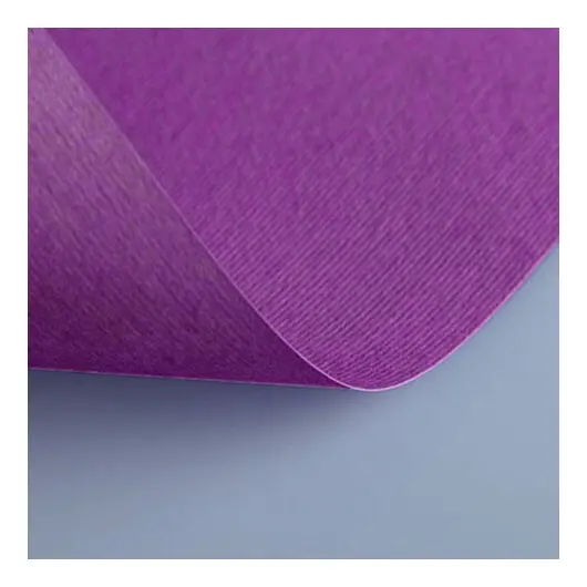Бумага (картон) для творчества (1 лист) Fabriano Elle Erre А2+ 500х700 мм, 220 г/м2, фиолетовый, 42450704, фото 1